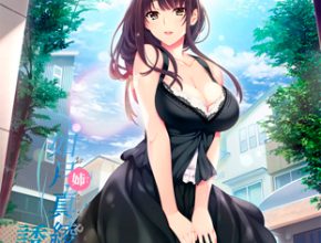 Onee-chan no Yuuwaku Download Game Free for Mac/PC